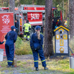 Hörhiäispolun Surinat