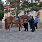 Laavuilta