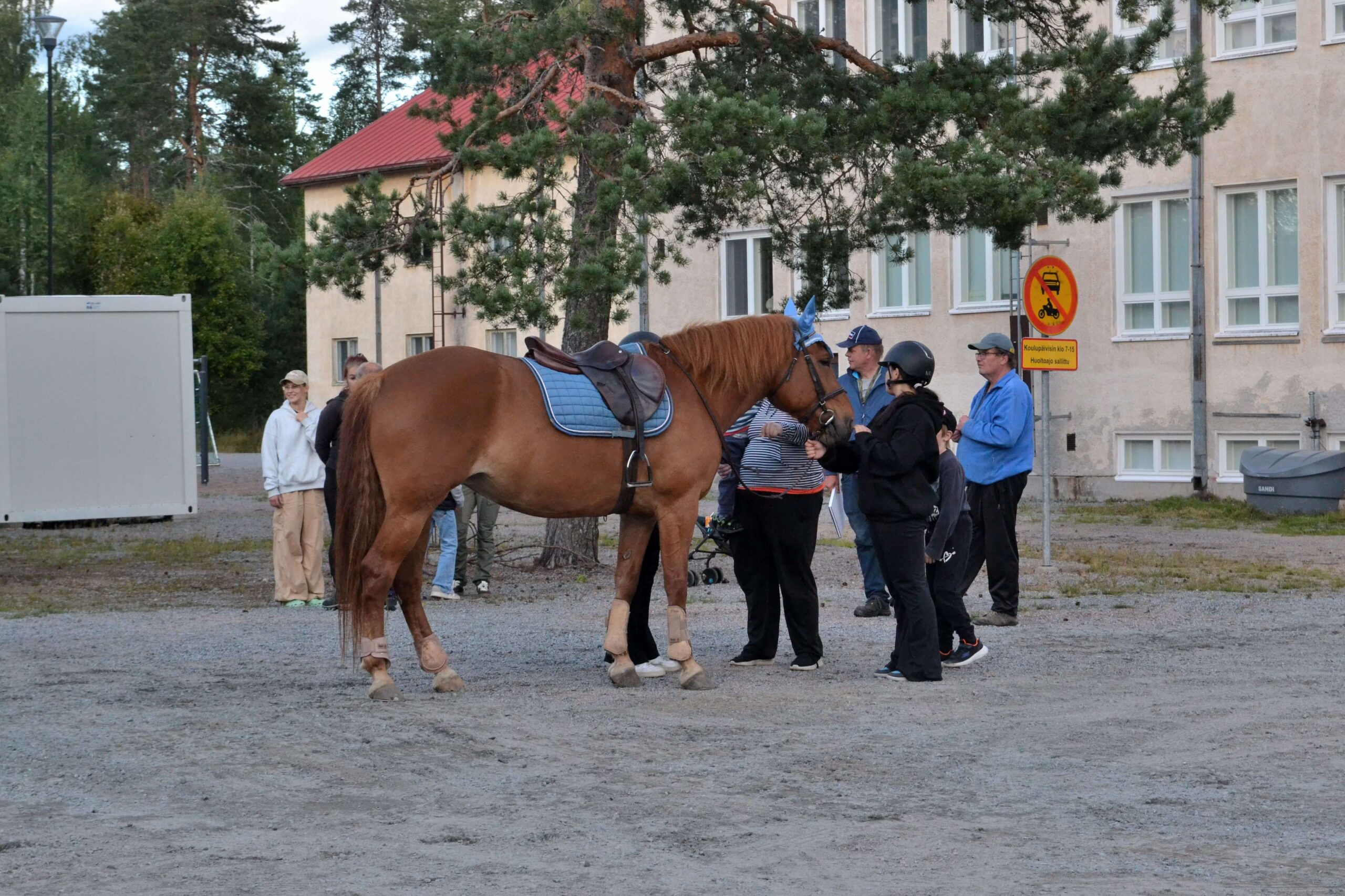 Laavuilta